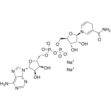 NADH disodium salt图片