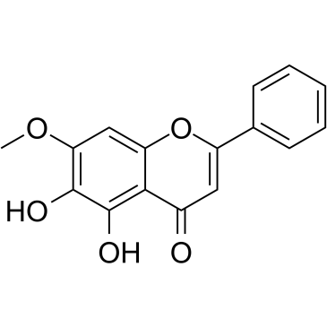 Negletein图片