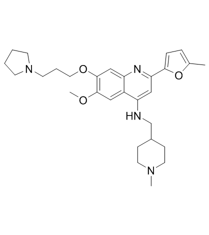 CM-579图片