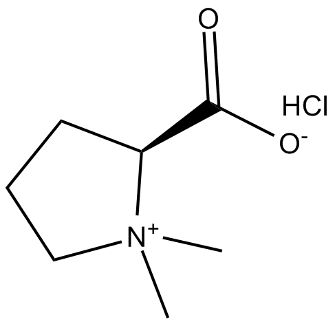 Stachydrine(hydrochloride)图片
