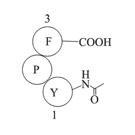 Fas C-Terminal Tripeptide图片