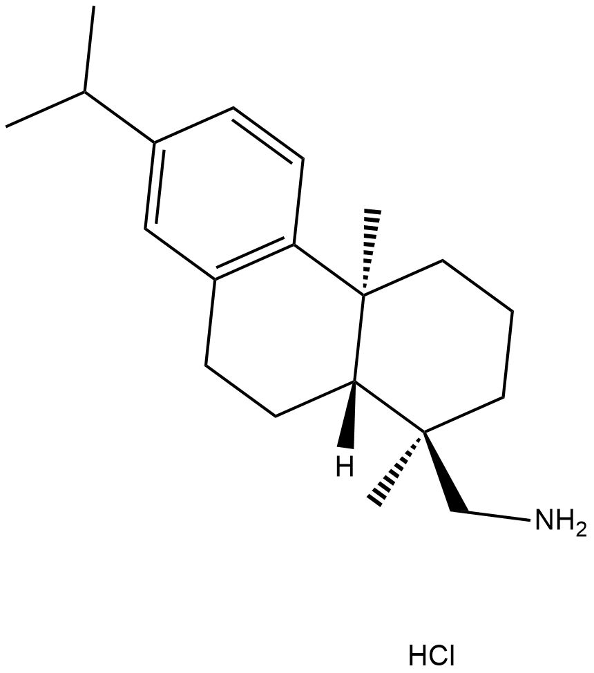 Leelamine(hydrochloride)图片