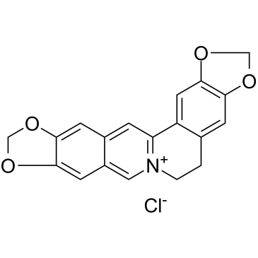 Pseudocoptisine chloride图片