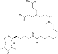 TCEP-biotin图片