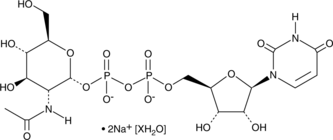 UDP-N-acetyl-D-Glucosamine(sodium salt hydrate)图片