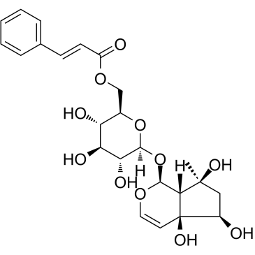 6'-O-Cinnamoyl harpagide图片