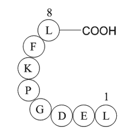 eukaryotic translation elongation factor 1 alpha 1(EEF1A1)(387-394)[Multiple species]图片