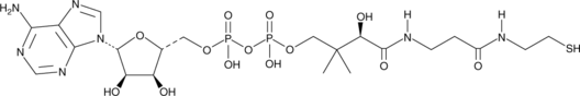 3'-Dephosphocoenzyme A图片