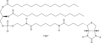 1,2-Dipalmitoyl-sn-glycero-3-PE-N-(cap biotin)(sodium salt)图片