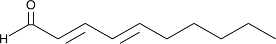 DDA图片
