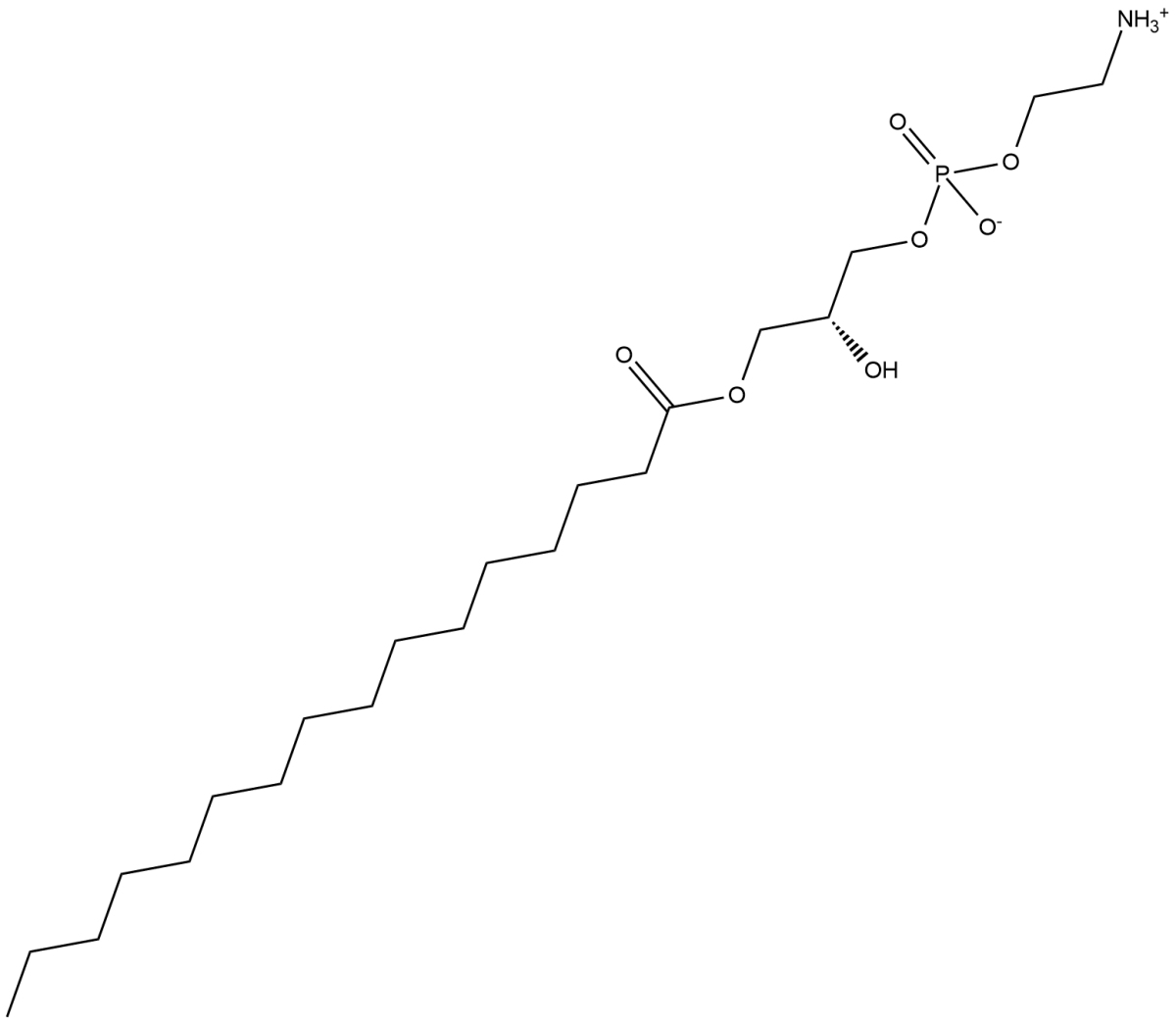 1-Palmitoyl-2-hydroxy-sn-glycero-3-PE图片