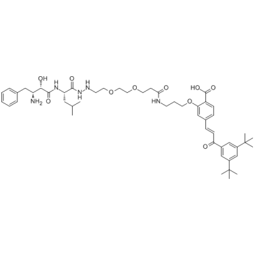 PROTAC RAR Degrader-1图片