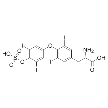 Thyroxine sulfate(T4&nbspSulfate)图片