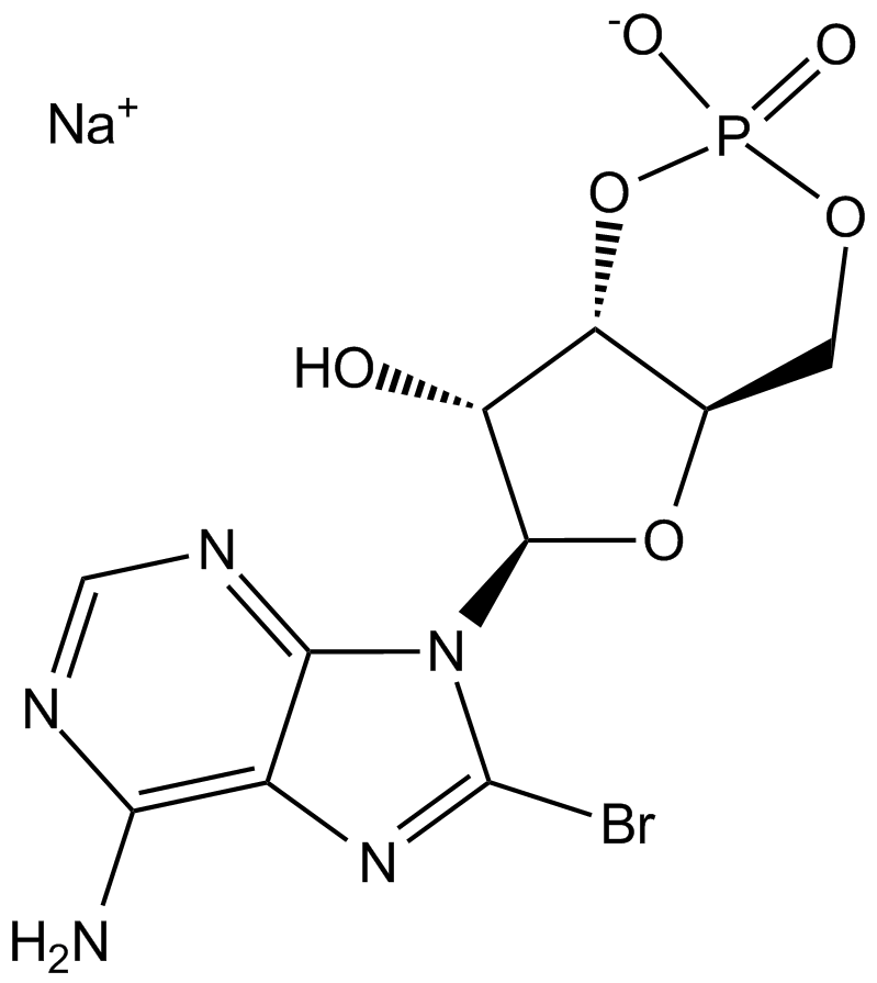 8-Bromo-cAMP,sodium salt图片