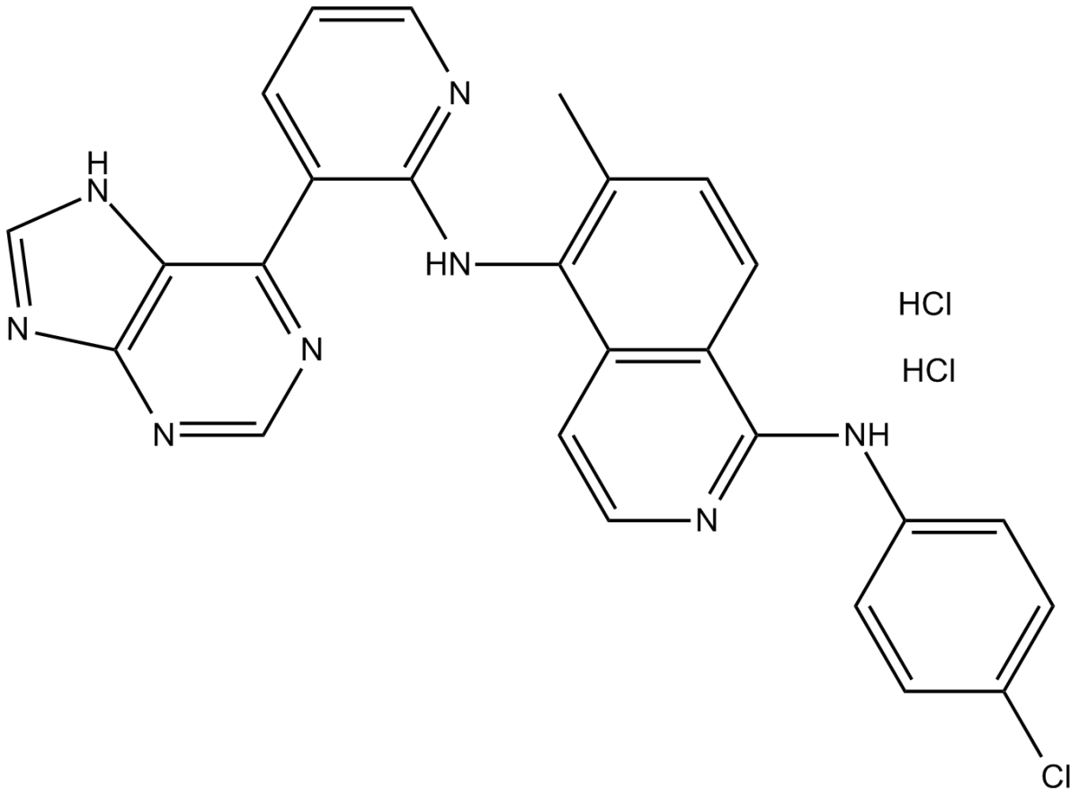 B-Raf inhibitor 1 dihydrochloride图片