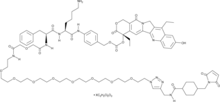 CL2-SN-38(dichloroacetic acid salt)图片