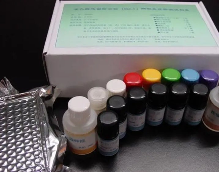 肺表面活性物质相关蛋白B(SP-B)ELISA检测试剂盒图片