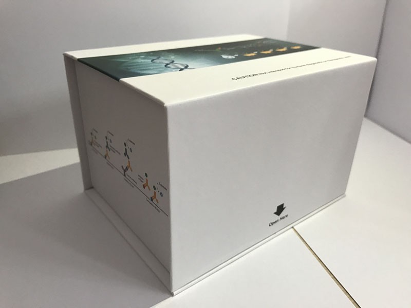 微纤丝关联蛋白4(MFAP4)ELISA检测试剂盒图片