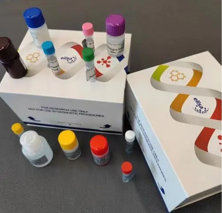 GSK3αELISA检测试剂盒图片
