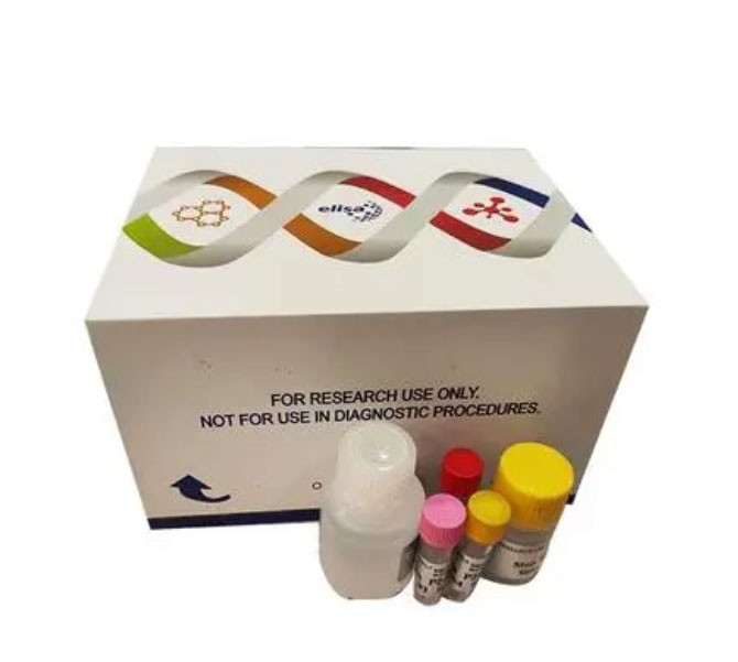 Adiponutrin ELISA检测试剂盒图片