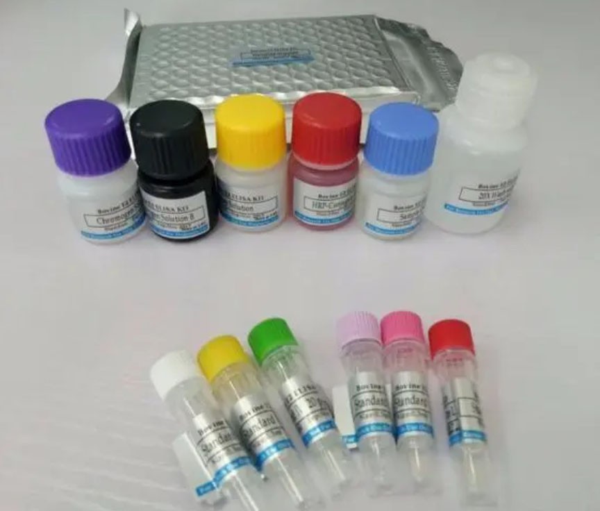 谷氨酰胺转胺酶2(TGM2)ELISA检测试剂盒图片