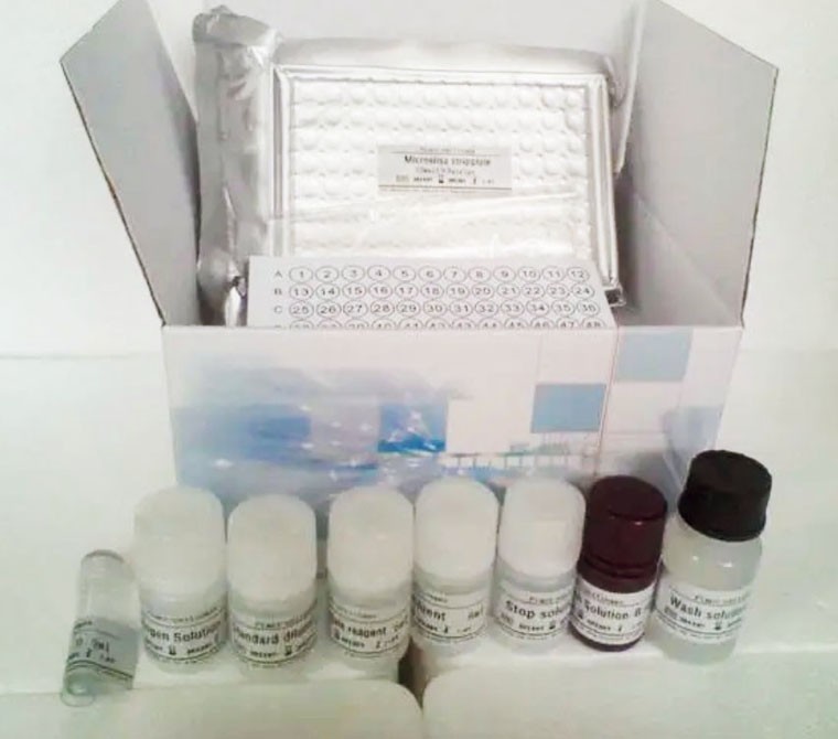 BAG3 ELISA检测试剂盒图片