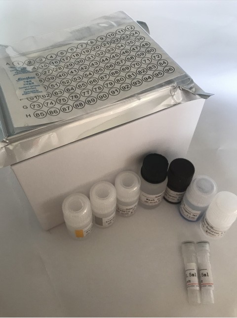 STAT3蛋白抑制分子(PIAS3)ELISA检测试剂盒图片