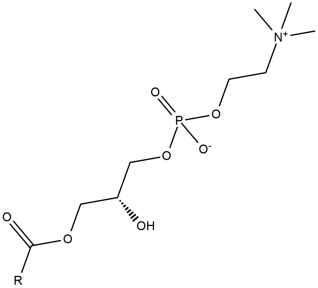 Lysophosphatidylcholines图片