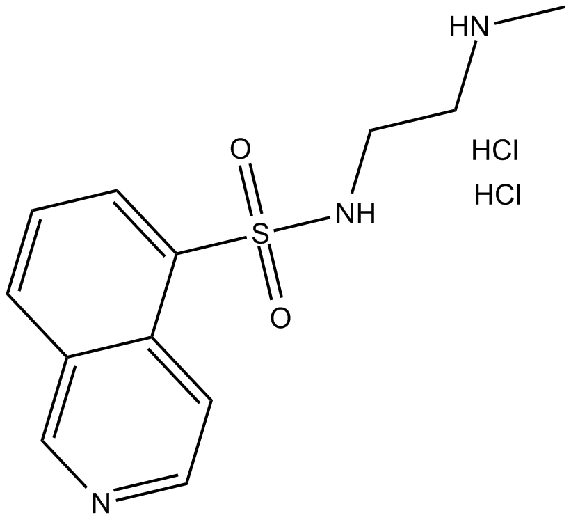 H-8(hydrochloride)图片
