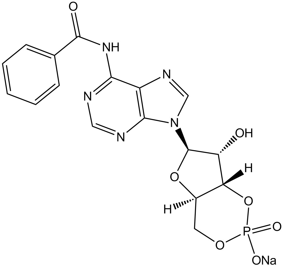 6-Bnz-cAMP sodium salt图片