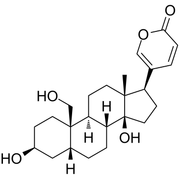 19-Hydroxybufalin图片