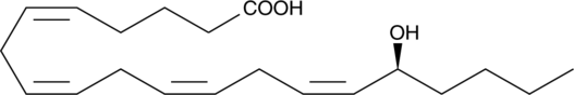 16(S)-HETE图片