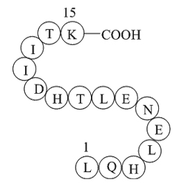 alpha-1 antitrypsin fragment图片