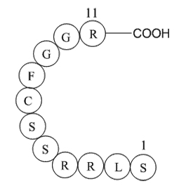 ANP(1-11),rat图片