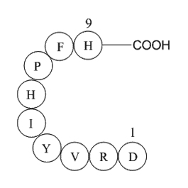 Angiotensin 1/2(1-9)图片