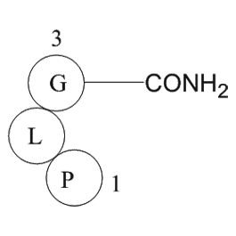 Melanocyte stimulating hormone release inhibiting factor图片
