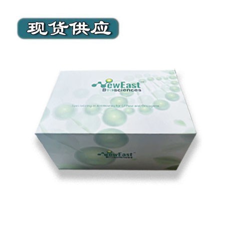 Gai活性检测试剂盒/小鼠图片