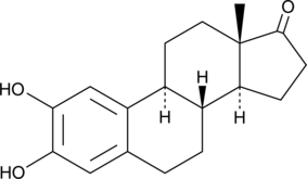 2-hydroxy Estrone图片