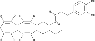 N-Arachidonoyl Dopamine-d8图片