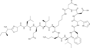 Bacitracin A(technical grade)图片