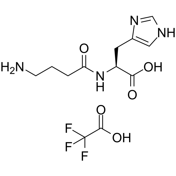 Homocarnosine TFA图片