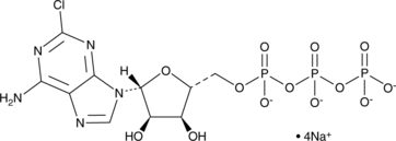 2-Chloroadenosine 5-triphosphate(sodium salt)图片