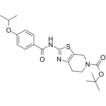 Autogramin-2图片