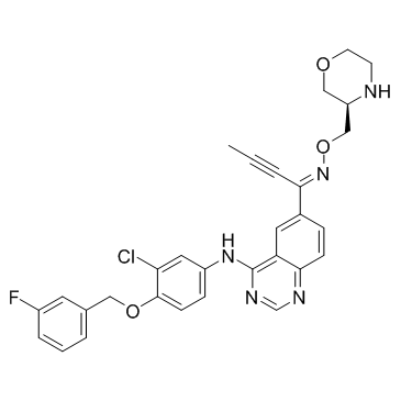 Epertinib(S-22611)图片