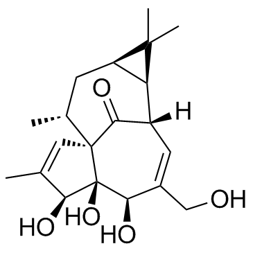 Ingenol((-)-Ingenol)图片