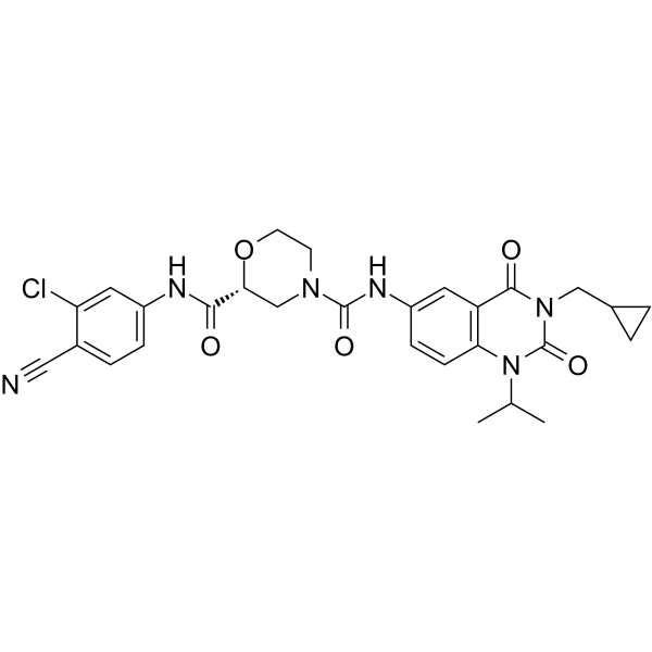 RORγt Inverse agonist 6图片