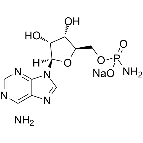 Adenosine 5′-monophosphoramidate sodium图片