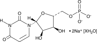 Uridine-5&rsquo-monophosphate(sodium salt hydrate)图片