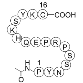 Nitric Oxide Synthase(599-613)Blocking Peptide,Bovine Endothelial Cell图片