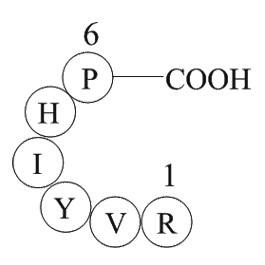 Angiotensin 1/2(2-7)图片
